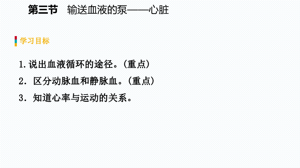 第四章第三节   第2课时　血液循环的途径导学课件（共17张PPT）