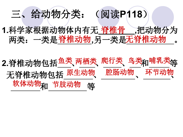 苏科版七下生物 14.2 生物检索表 课件(18张PPT)