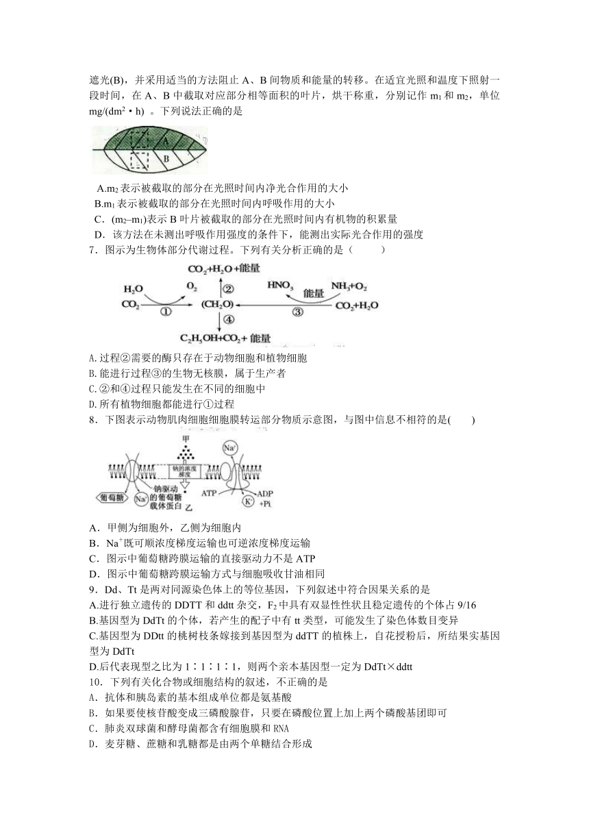 福建省泉州一中2013届高三上学期期末考试生物试题