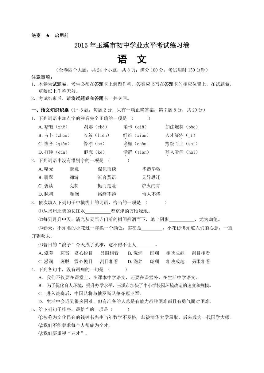 云南省玉溪市2015届九年级初中学业水平练习语文试题