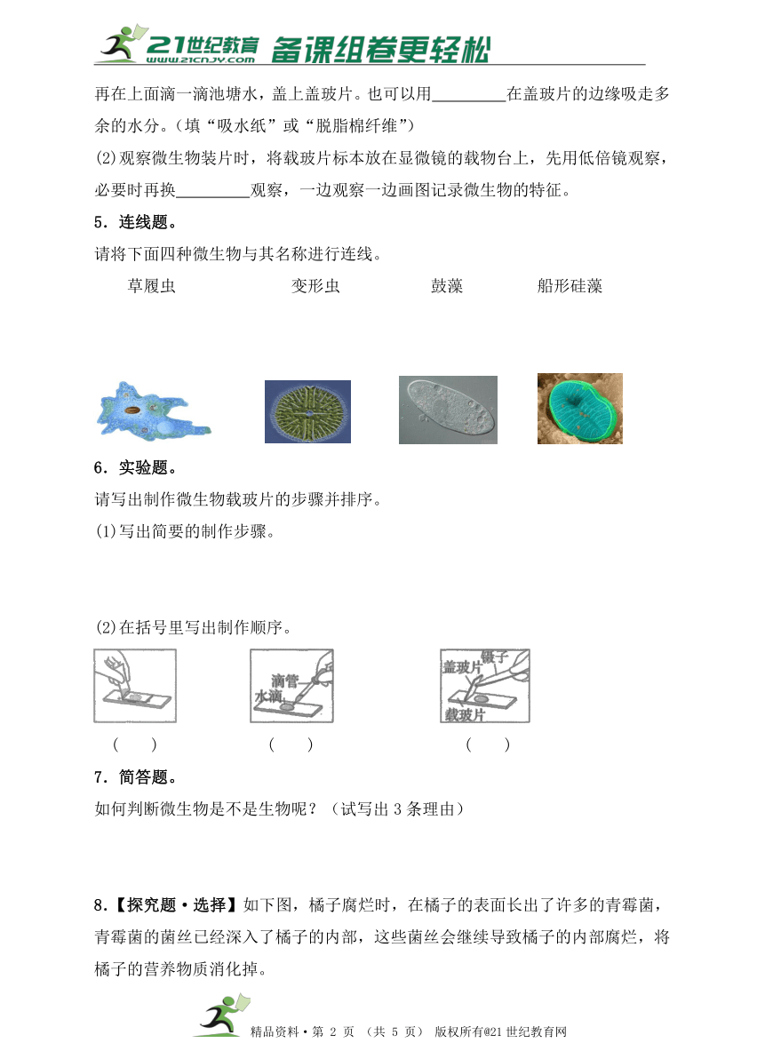 教科版六年级科学下   7.用显微镜观察身边的生命世界（三）同步练习（含答案）