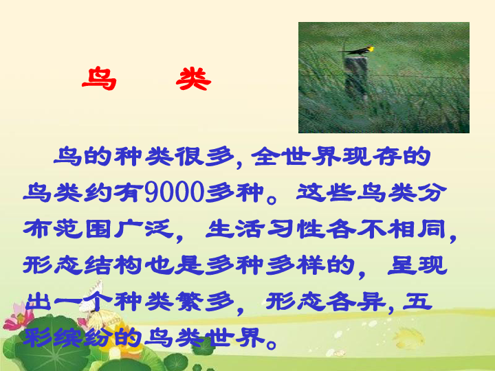 四年级下册科学课件-《鸟与人类的关系》 北京版(共23张PPT)