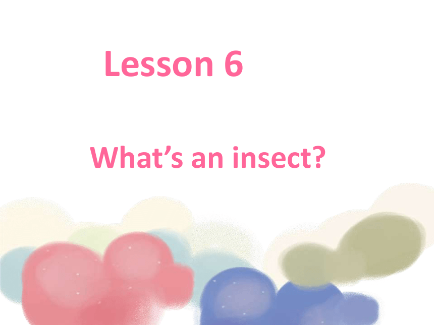 Lesson 2 What’s an insect! 课件