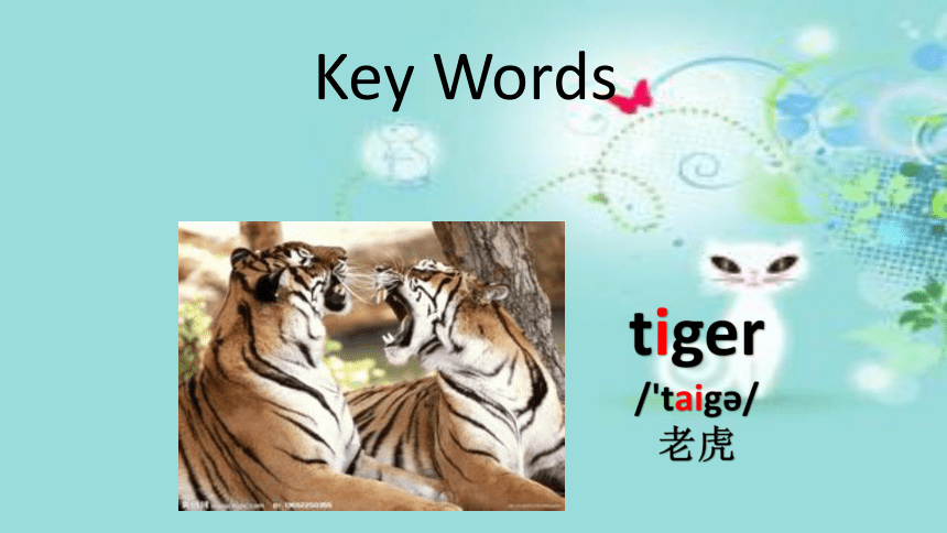 Lesson 8 Tiger and bear 课件