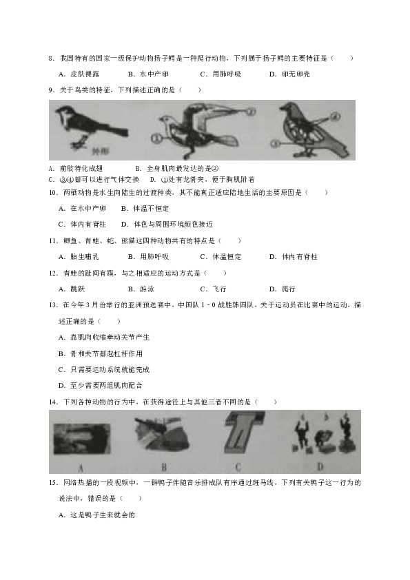 广西省柳州市2018-2019学年八年级上学期期末考试生物试卷（WORD版）