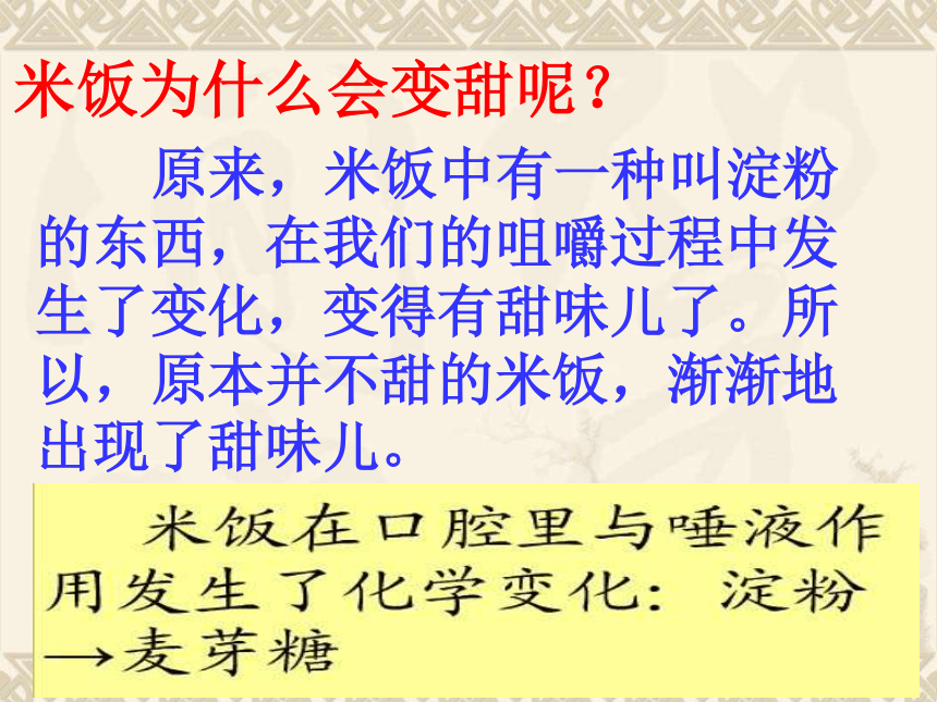 米饭淀粉和碘酒的变化  课件