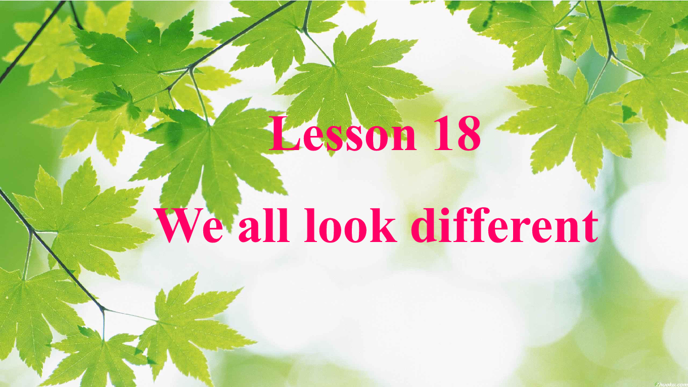 Unit 3 Body Parts and Feelings  Lesson 18 We All Look Different! 课件(21张PPT)