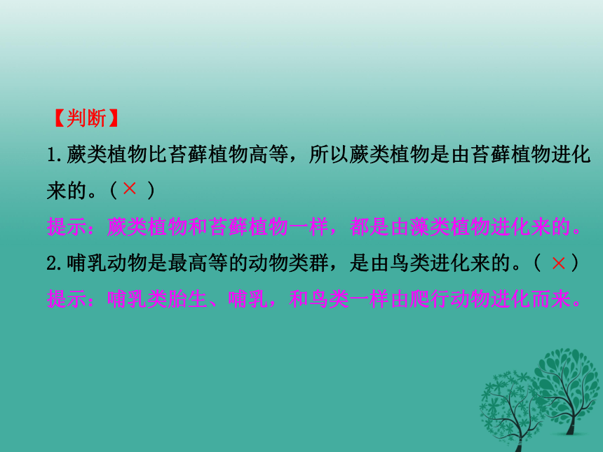 7.3生命起源和生物进化复习课件（共28张PPT）