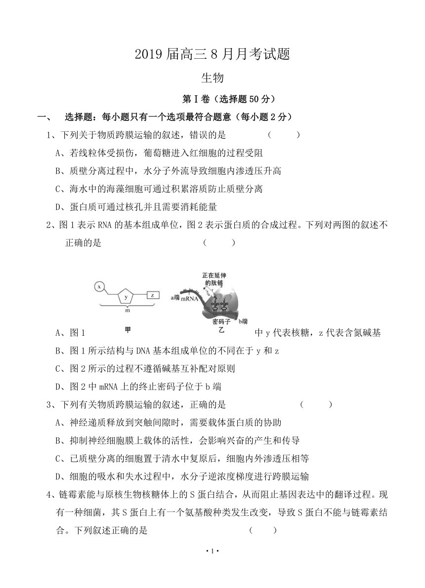 广西省贵港市覃塘高级中学2019届高三8月月考生物