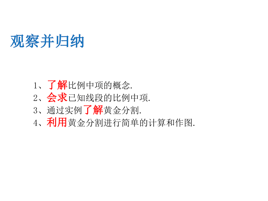 4.1 比例线段（3）课件