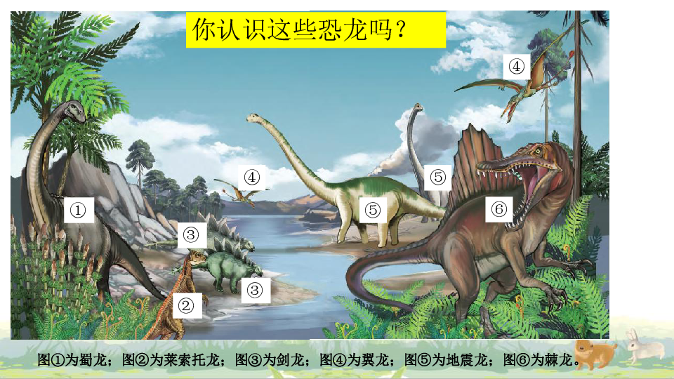 第16课《网络课堂：探索恐龙灭绝的原因》课件（20张ppt）