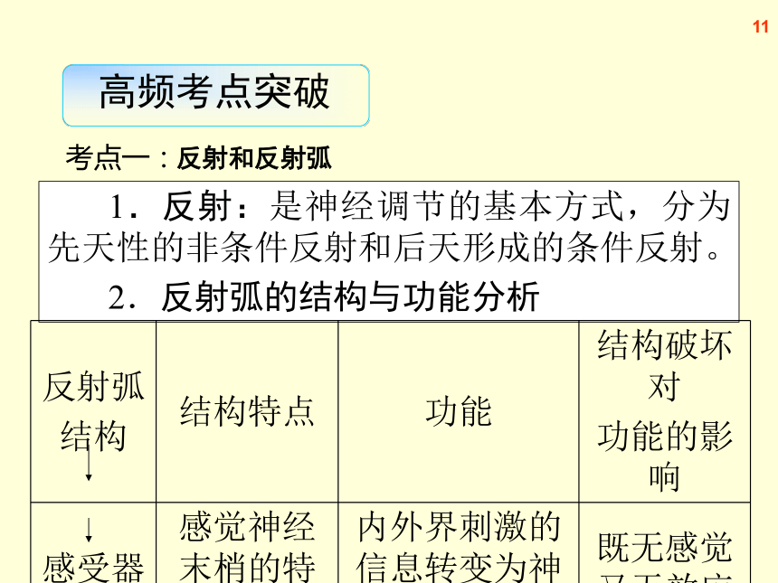 【原创】2013届高三生物复习课件-- 通过神经系统的调节