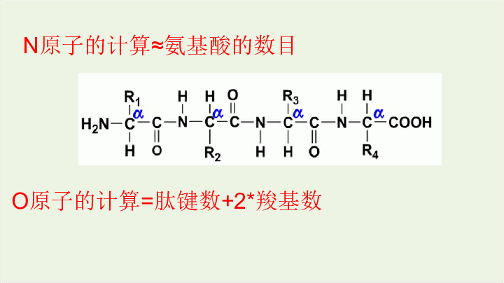 2019_2020学年高中生物专题2.3遗传信息的携带者——核酸课件（30张ppt）新人教版必修1