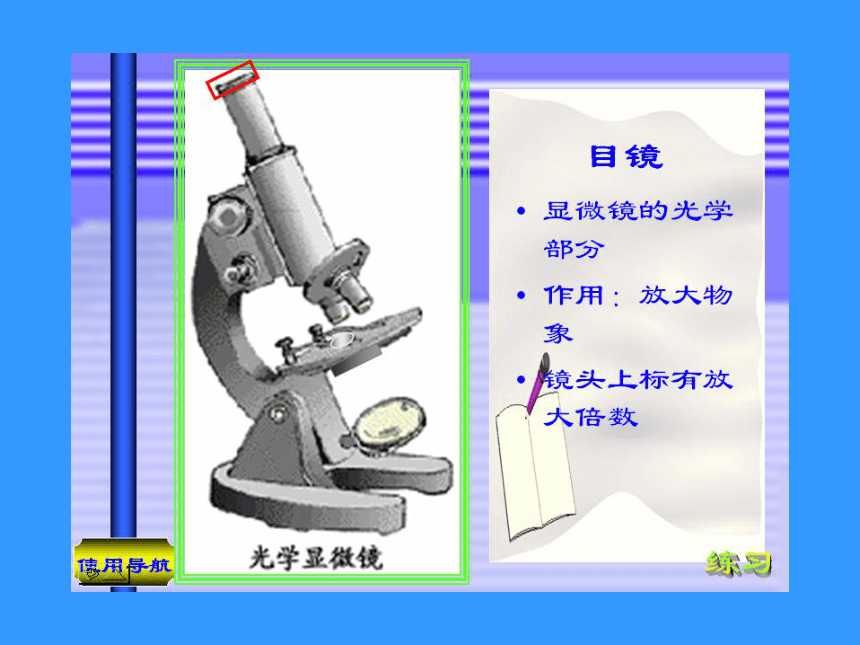 显微镜的使用以及有关实验