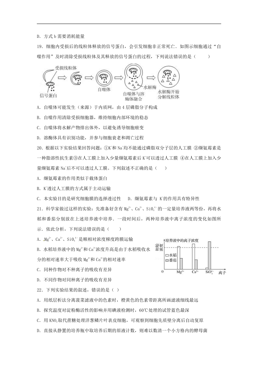 辽宁省沈阳市东北育才学校2019届高三生物上学期第一次模拟考试试题