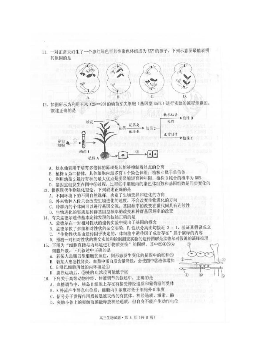 安徽省黄山市2018届高三一模检测生物试题（扫描版）