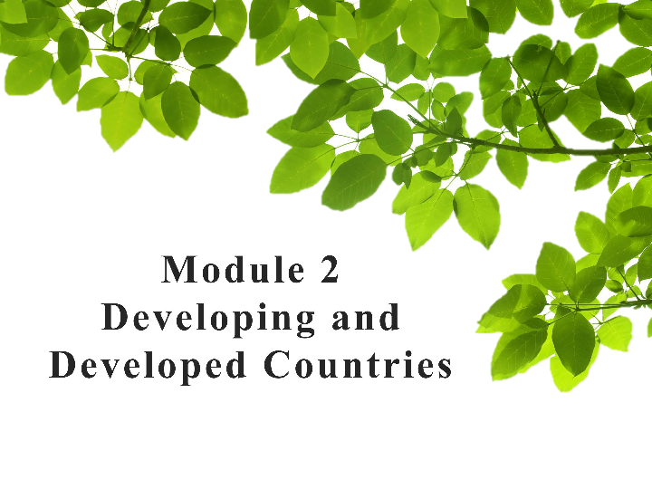 Module 2 Developing and Developed Countries Words and expressions 课件（20张PPT）