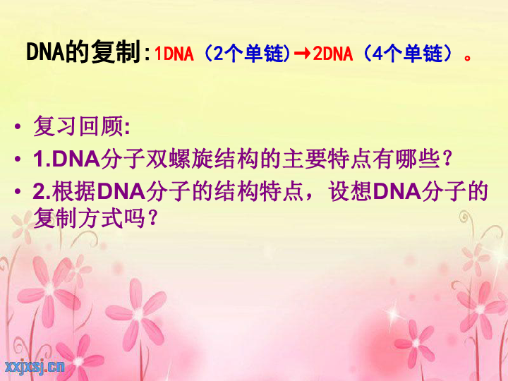 新人教版高中生物必修二3．3《DNA的复制》（共36张PPT）