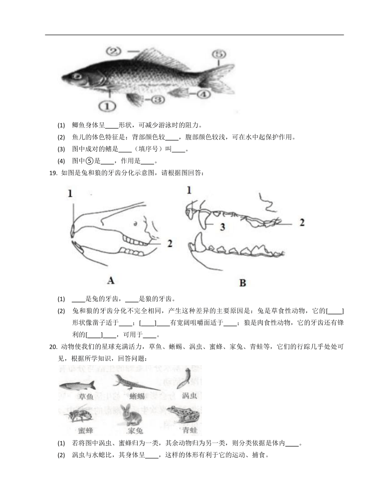 2020-2021学年沪教版第二册生物课时训练4.2动物（word版含解析）