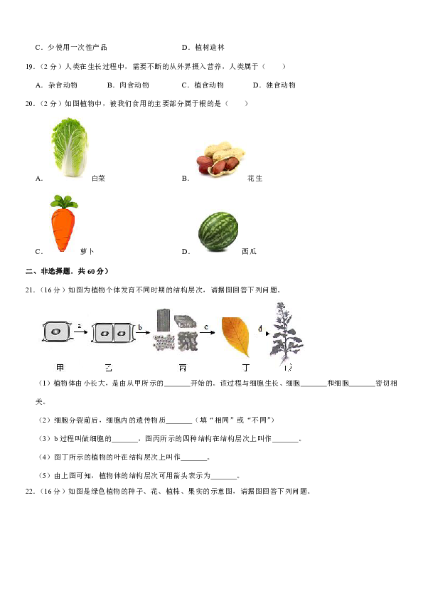 2019-2020学年河南省周口市鹿邑县七年级（上）期末生物试卷（含答案）