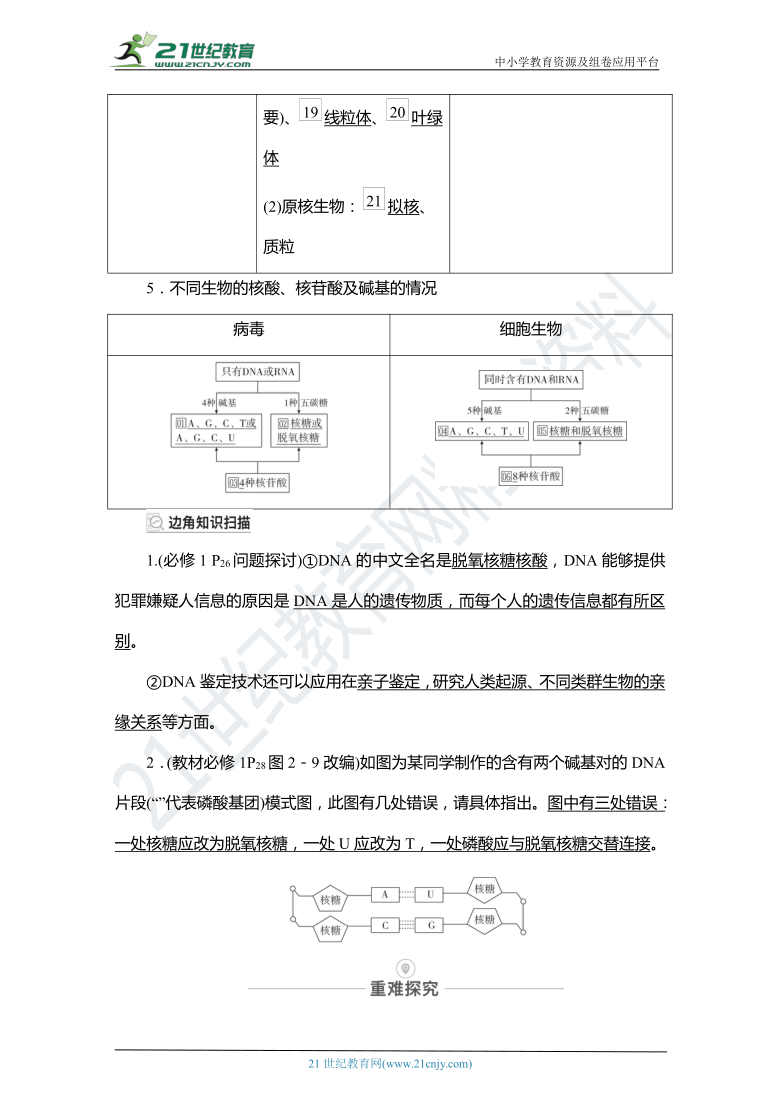 【备考2022一轮学案】第1单元　第4讲　核酸、糖类和脂质（含解析）