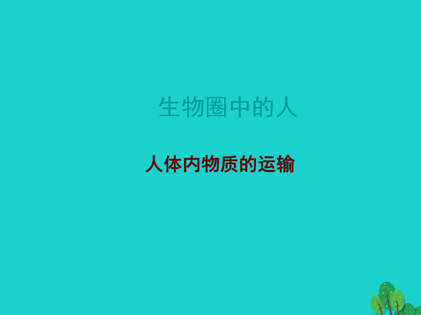 2017年中考生物复习--人体内物质的运输 课件（36张）