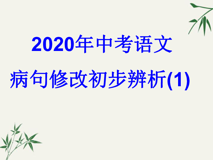 2020年中考语文病句修改初步辨析 课件（幻灯片13张）