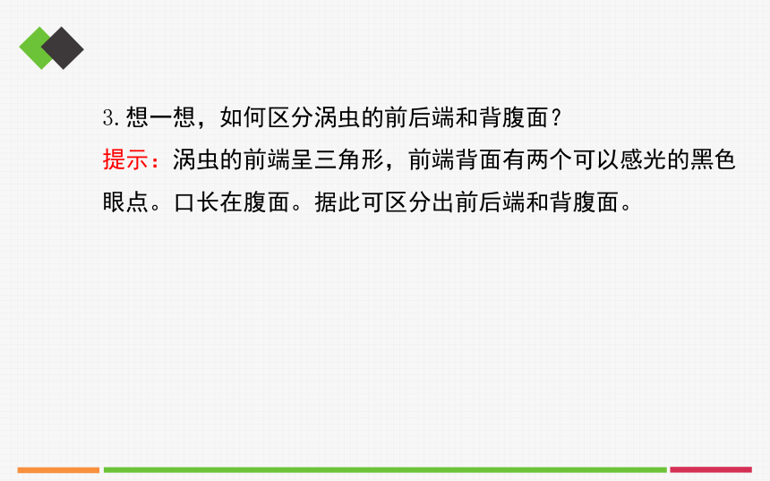 人教版八年级生物上册第五单元第一章《动物的主要类群》复习课件1 （共83张PPT）