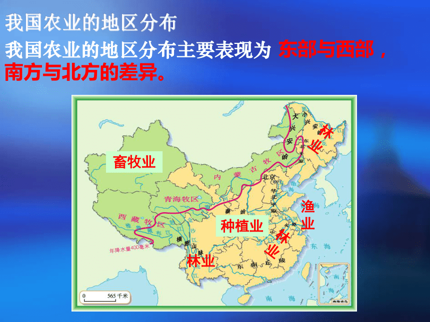 人教版8上4.2我国农业的地区分布 课件（共22张ppt）