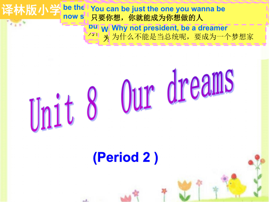 Unit 8 Our dreams  第二课时课件