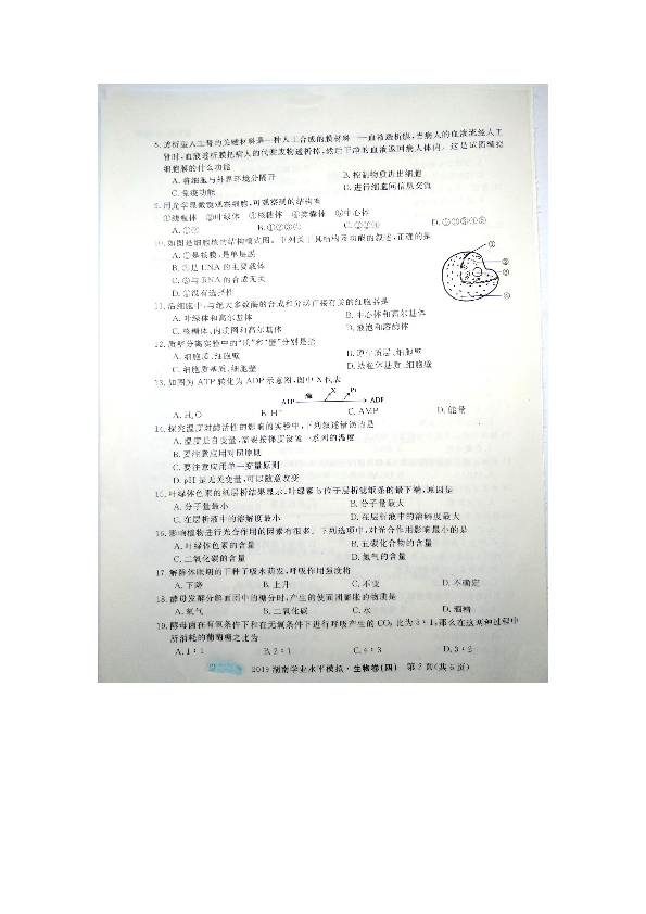 2019年湖南省普通高中学业水平考试模拟卷（四）生物试题（图片版含答案）