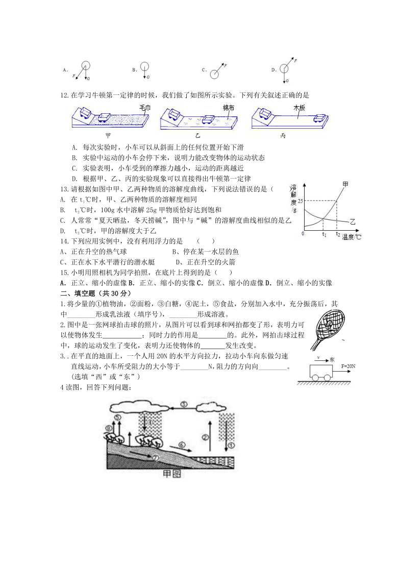 浙教版科学七升八检测（无答案）