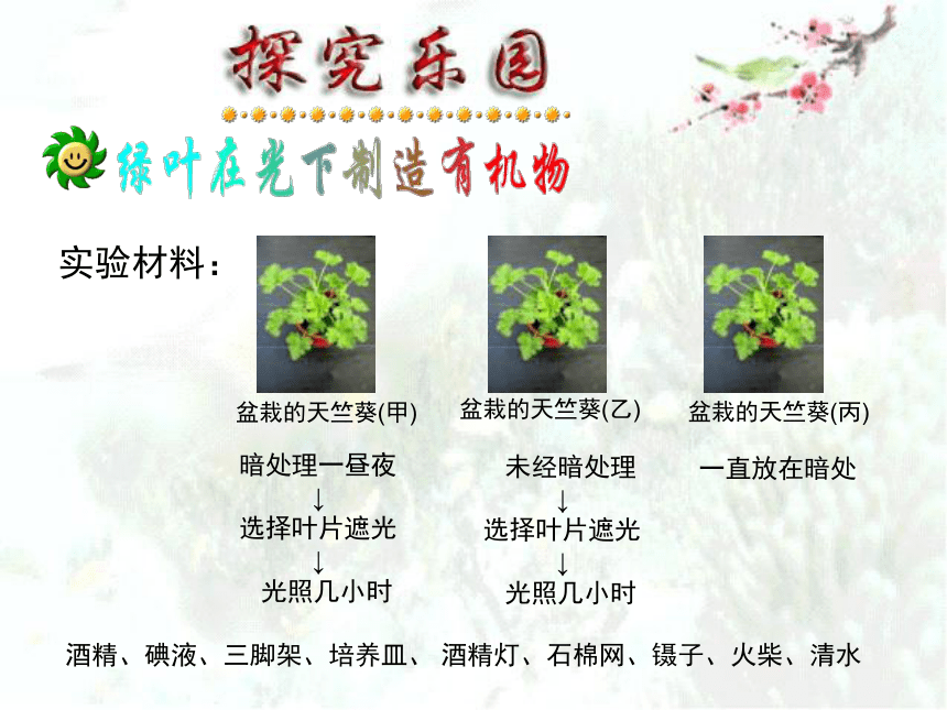 人教版七年级上册生物  3.4 绿色植物是生物圈中有机物的制造者 课件