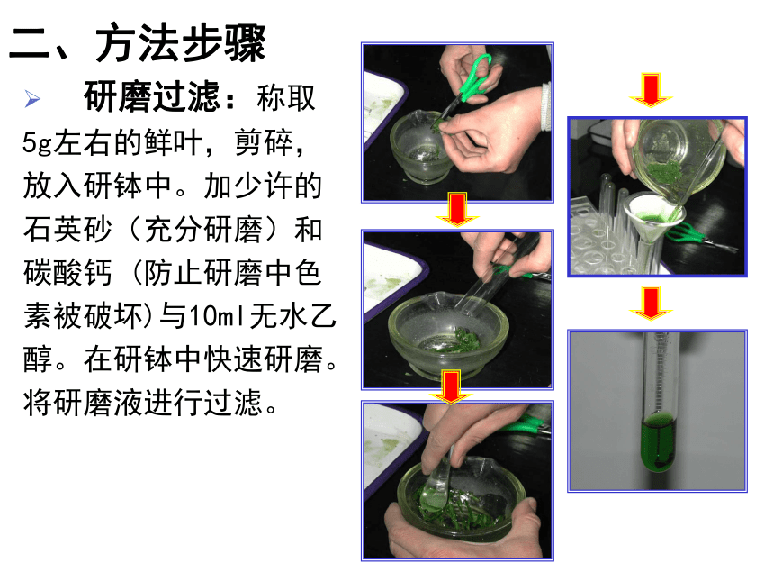 高中生物北师大版必修一第4章4.2.2 光能的转换—光合作用 课件