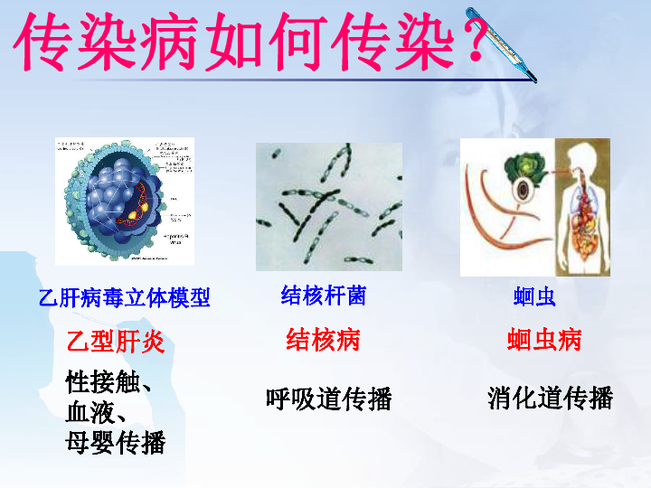 上海版八年级上册生物  3.2.1 常见传染病及其预防 课件  (22张PPT)