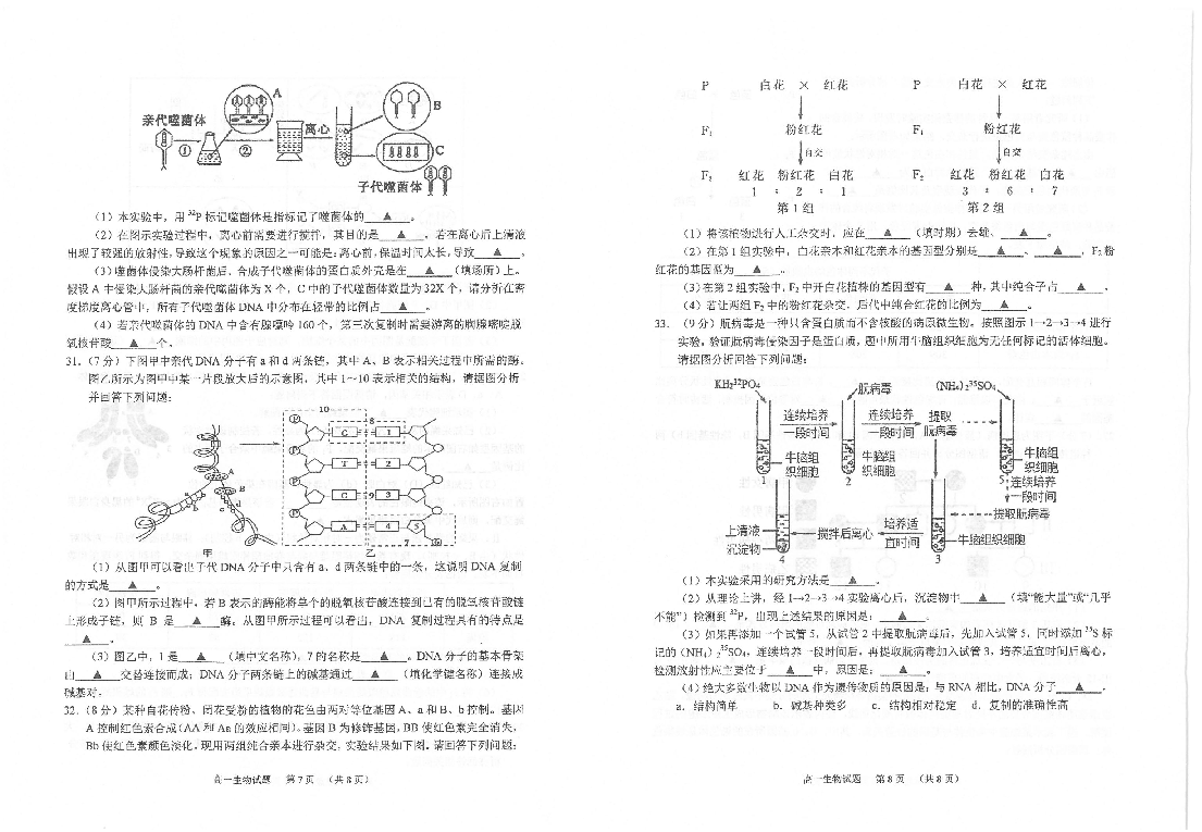 江苏省常熟市2019-2020学年高一下学期期中考试生物试题 PDF版