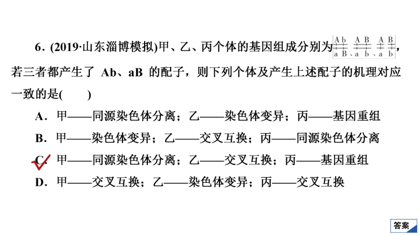 高考生物複習用卷考點22基因突變和基因重組共53張ppt