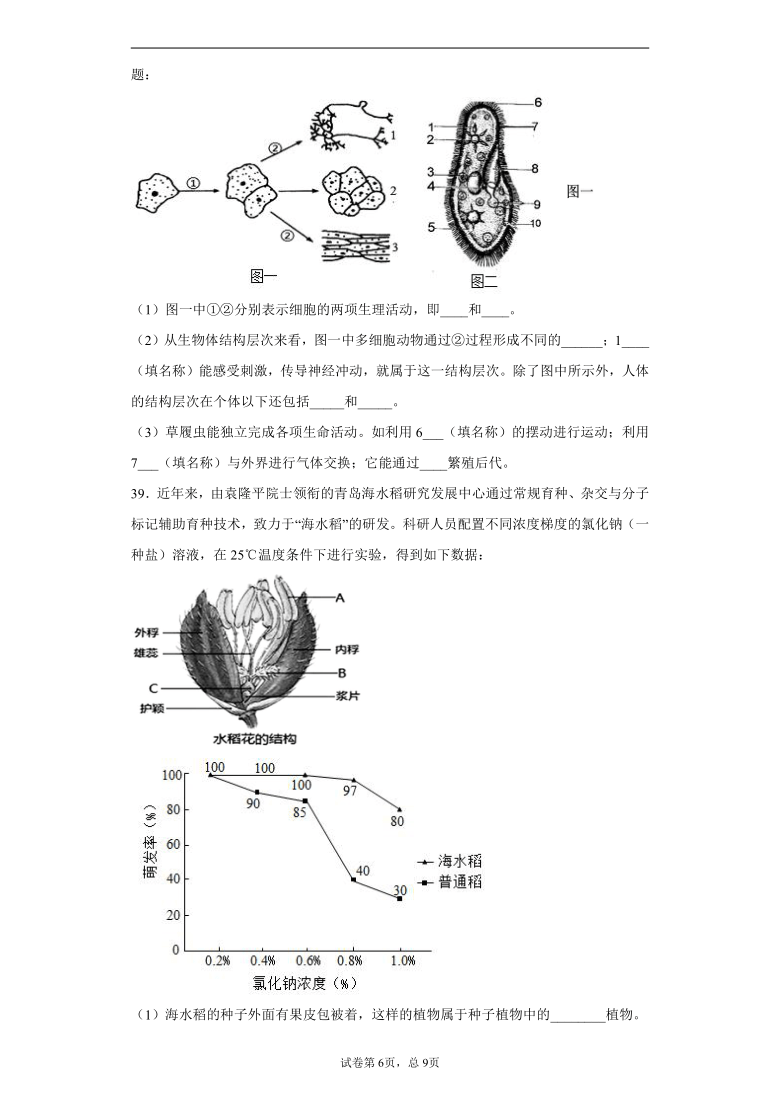 四川省雅安市2020-2021学年七年级上学期期末生物试题（word版含解析）