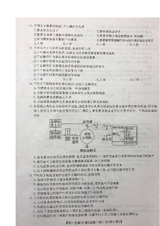 湖南省五市十校2018-2019学年高一下学期期末考试生物试题 扫描版