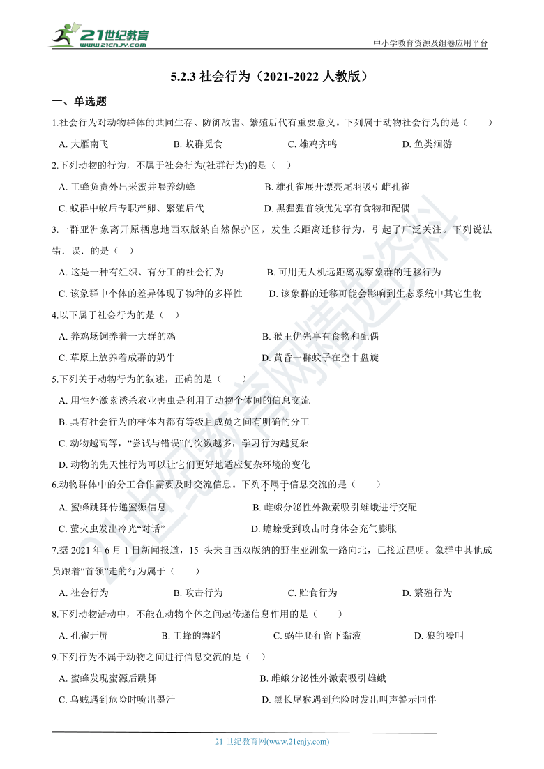 生物人教八上 5.2.3社会行为 同步练习（含答案）