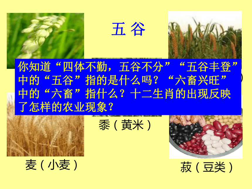 北师大版必修2第1课农业的主要耕作方式和土地制度（共34张PPT）