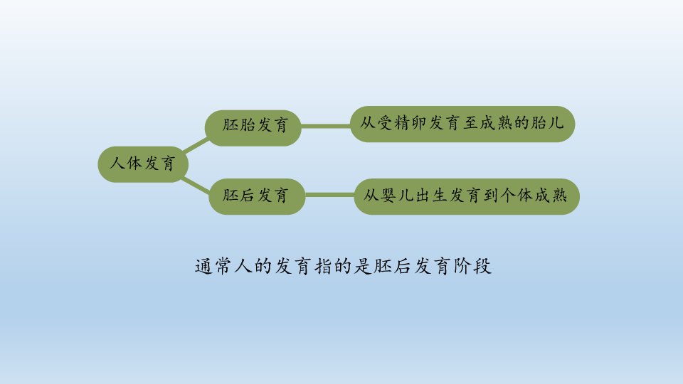 蘇科版八年級生物上冊212人的個體發育課件共30張ppt