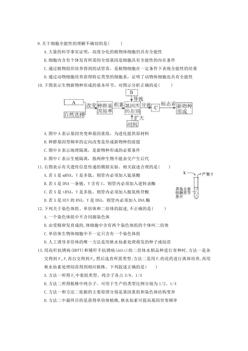 广东省陆丰市碣石中学2012-2013学年高二上学期期末考试生物试题