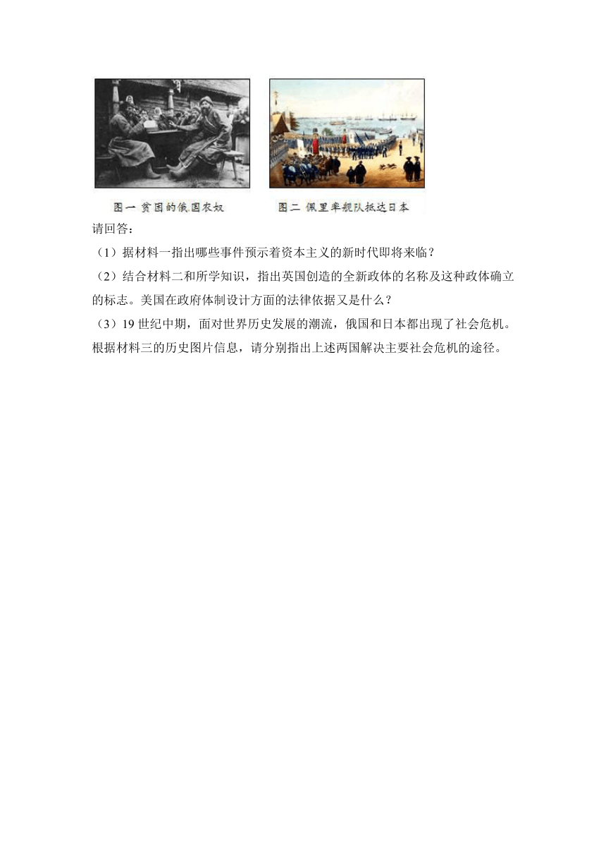 广东省揭阳市揭西县2017届九年级（上）期末历史试卷（解析版）