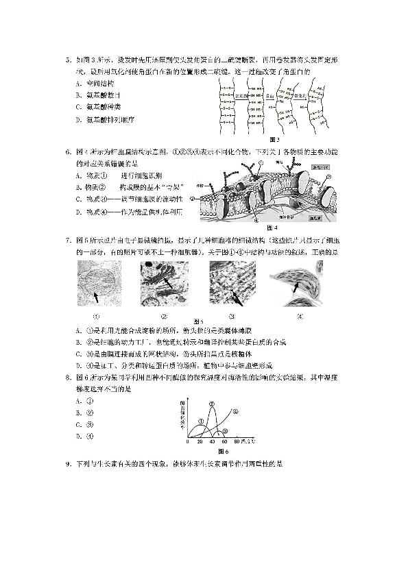 2019学年上海市松江区高中第二学期等级考生命科学试卷（pdf）