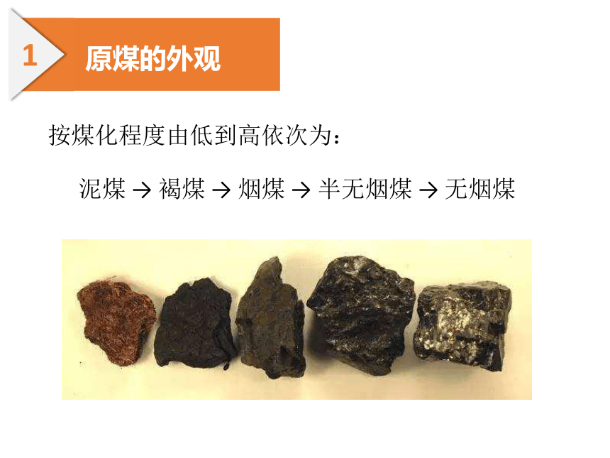 贫煤 褐煤 烟煤 无烟煤图片