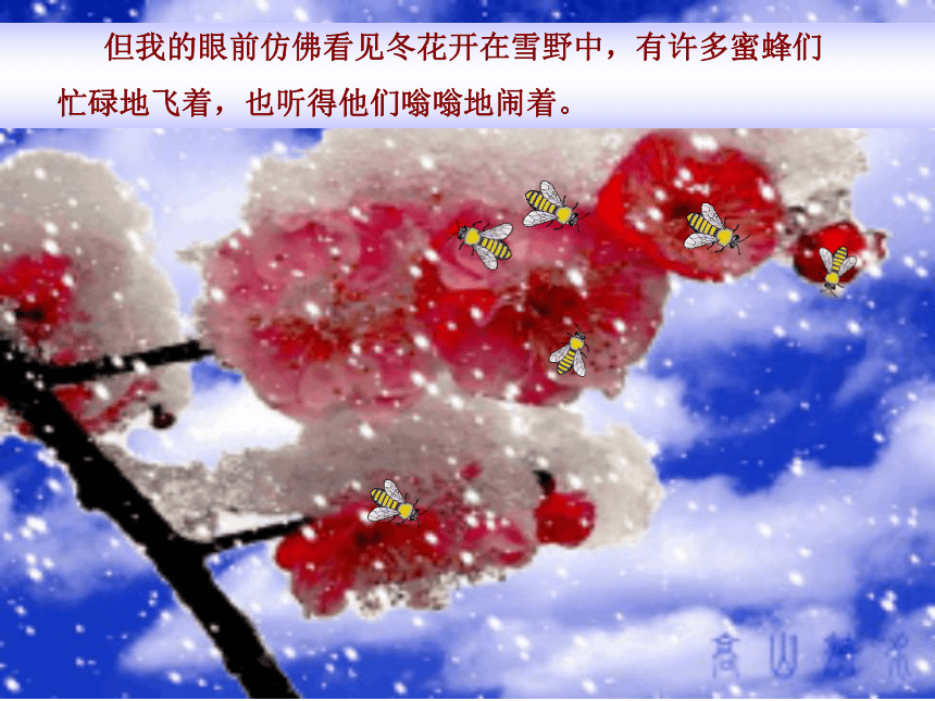 雪课件