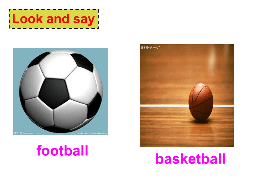 Starter Module 4 My everyday life.Unit 3 What's your favourite sport?