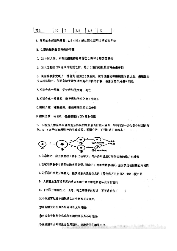 湖南省衡阳县第四中学2020届高三（实验班）8月月考生物试题 扫描版