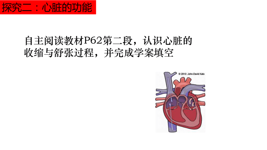 人教版七年级生物下册第四单元第四章第三节输送血液的泵--心脏课件（33张ppt）